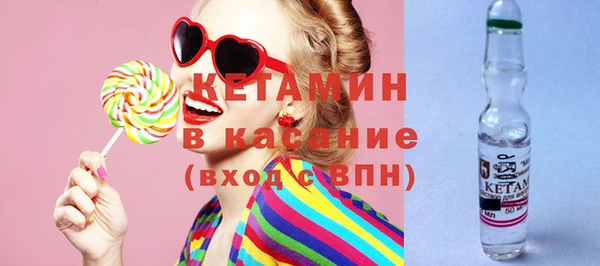 прущие грибы Новозыбков