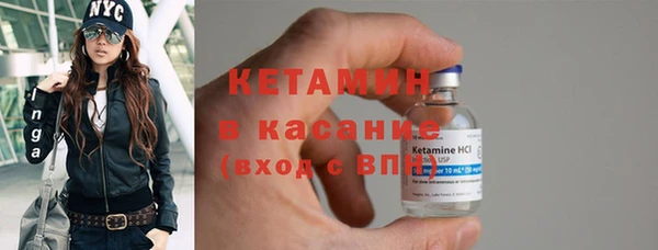 прущие грибы Новозыбков