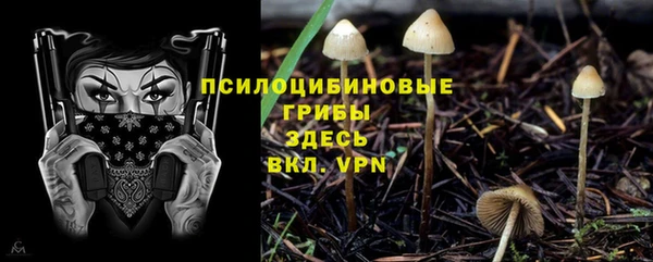 молекула духа Нефтекумск