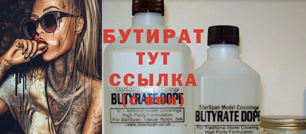 прущие грибы Новозыбков