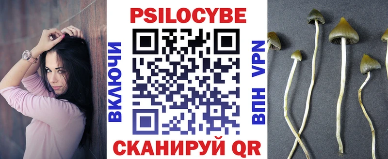 Галлюциногенные грибы Psilocybine cubensis Давлеканово